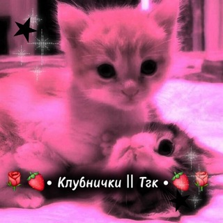 •🩸🍓_ 𐌺᧘уδнᥙчκᥙ || Тᴦκ _🍓🩸•