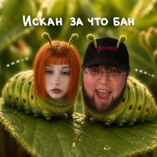 ₽инксZа RIP