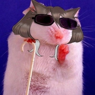 RTCat