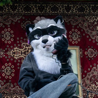 Rufus Raccoon🦝