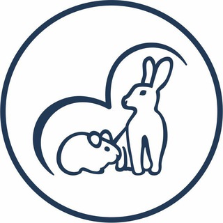 Рута Shop🐰