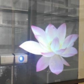 schneeblume