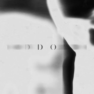 ddov ● group