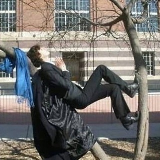 сигхайля