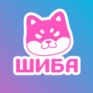 — shiba’s blog🐕🇯🇵🌸—