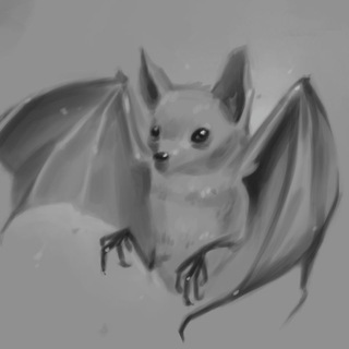 Тихие штрихи🦇