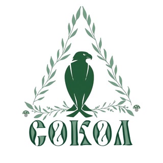 приРОДо💚исЦЕЛение🦅СОКОЛ