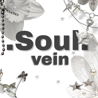 ˚₊˳•Soul.vein•˳✧