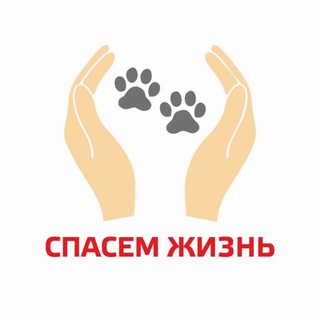 СПАСЕМ ЖИЗНЬ | Волонтерское движение в защиту животных