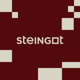 STEINGOT | Cложилось идеально