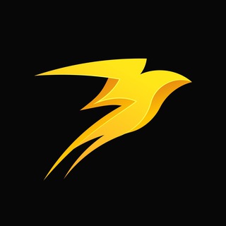 Storm Trade | Новости⚡️