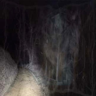 #suddęn_dyįng