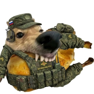 Тамоеч