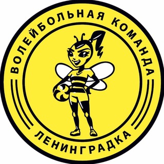 Волейбольная команда «Ленинградка»