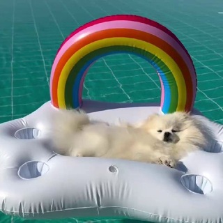 .🦴「 ⲏⲉⳝⲉⲥⲁ ⲧⲉⲫⲫυ 」