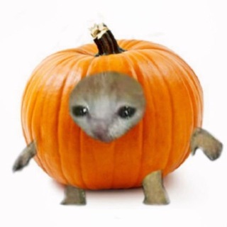 тео лол🐶🎃