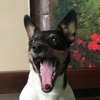 tina’s channel