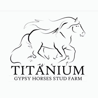 Libontova🍀Titanium Stud Farm