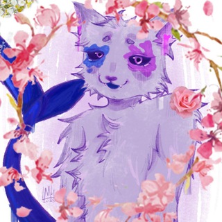 Творилка Коши🌷