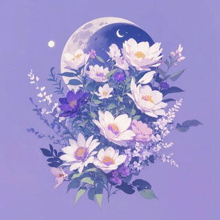 TWILIT🌙