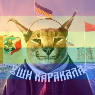 Уши Каракала 🅉🇷🇺🐍#ВернитеДетямРадугу #ISupportKlimenko