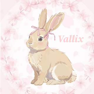 Vallix🐰🎀