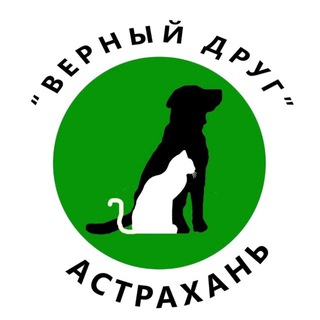 ВЕРНЫЙ ДРУГ. АСТРАХАНЬ.🐶vdrug_priut