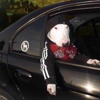 666