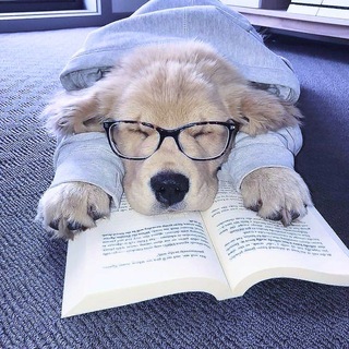 💜💜𝓥𝓸𝓵𝓽𝓮𝓻 𝓚𝓲𝓻𝓲𝓵𝓵💜💜
