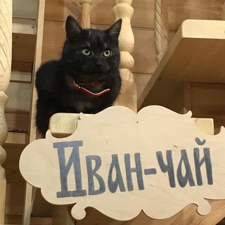 Мир моими глазами