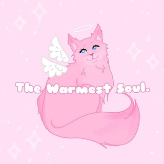 𝑇ℎ𝑒 𝑤𝑎𝑟𝑚𝑒𝑠𝑡 𝑠𝑜𝑢𝑙. || 𝑐𝑎𝑛𝑑𝑙𝑒𝑠🎀