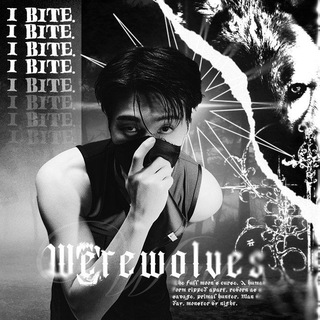 𝖜𝖊'𝖗𝖊𝖜𝖔𝖑𝖛𝖊𝖘 × info