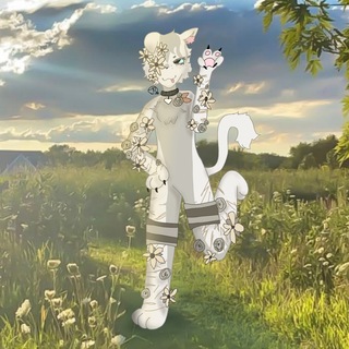 |Шиза Πⲁⲙⲡⲁⲥⲁ ъуъ |🌿Pampas