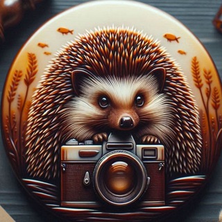 🦔Ёж-охота🦔