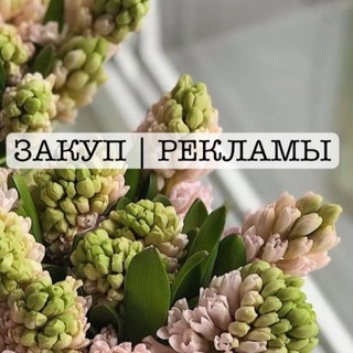 НАБОРЫ ТГ | МАКС