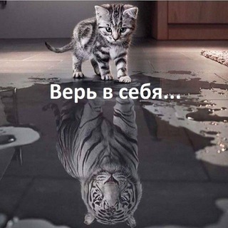 ZE_BEST_1 спорт