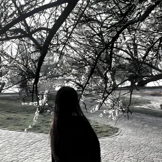 Храм ZEVSIKA🫦